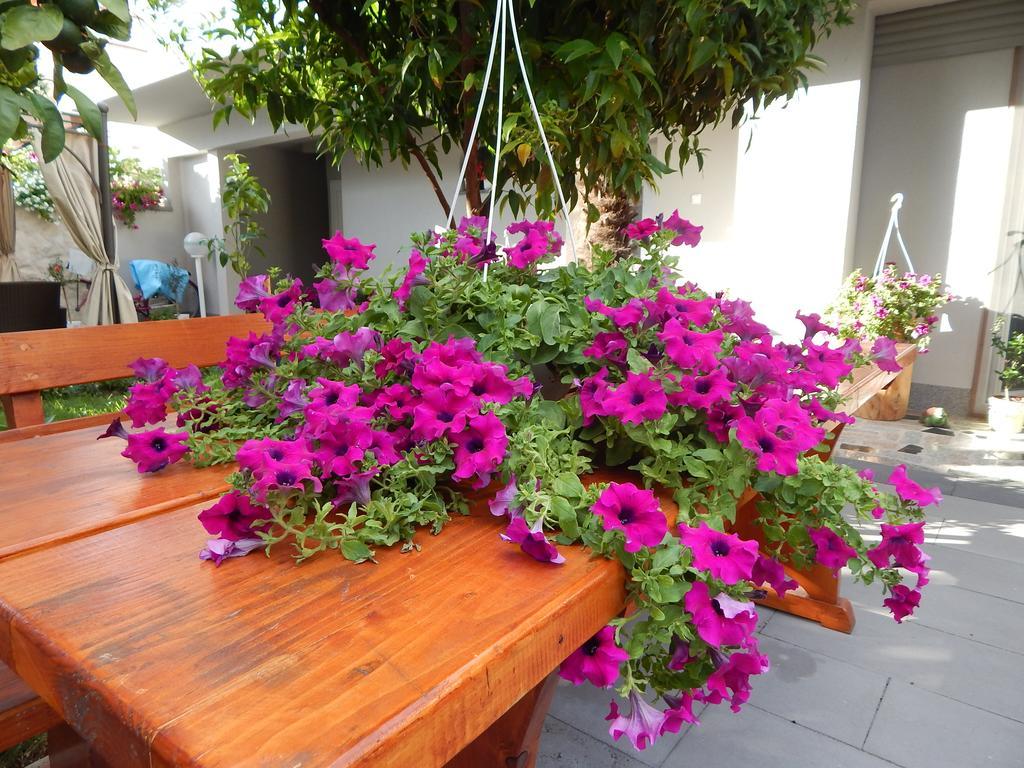 Apartments & Rooms Marinka ซาดาร์ ภายนอก รูปภาพ